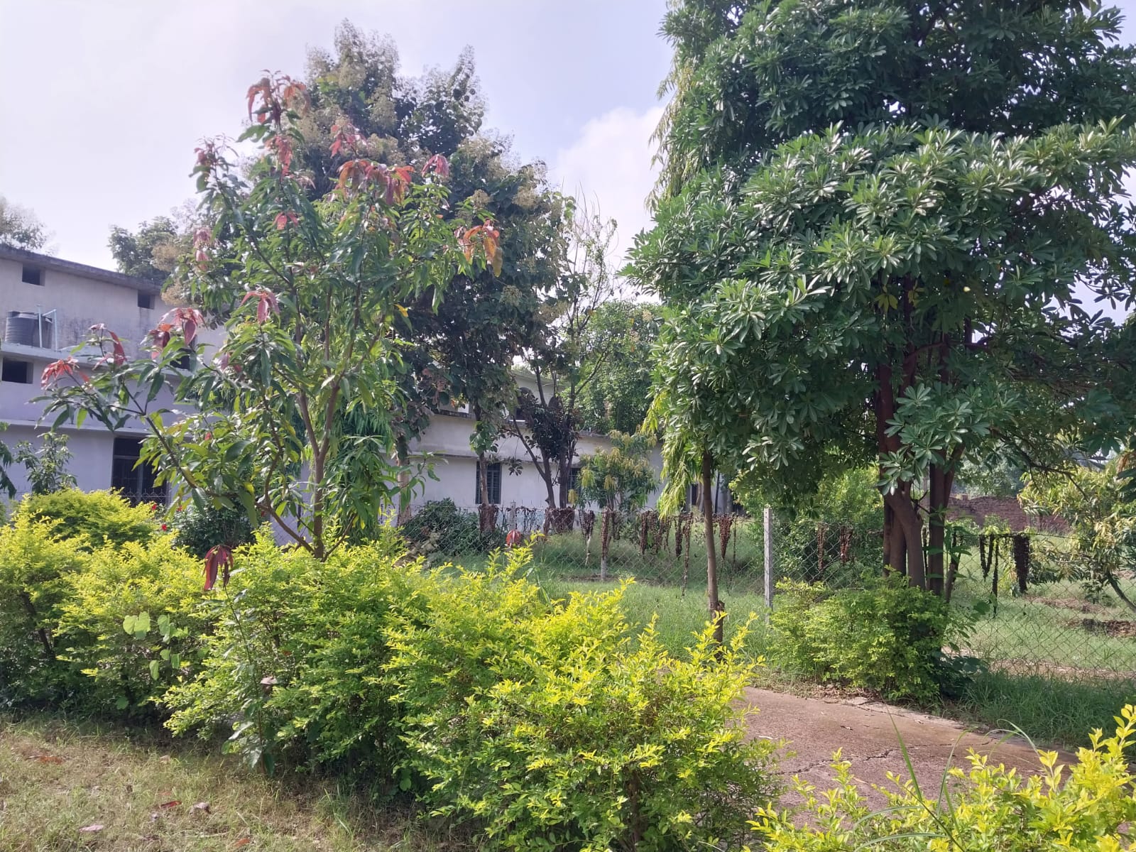Campus